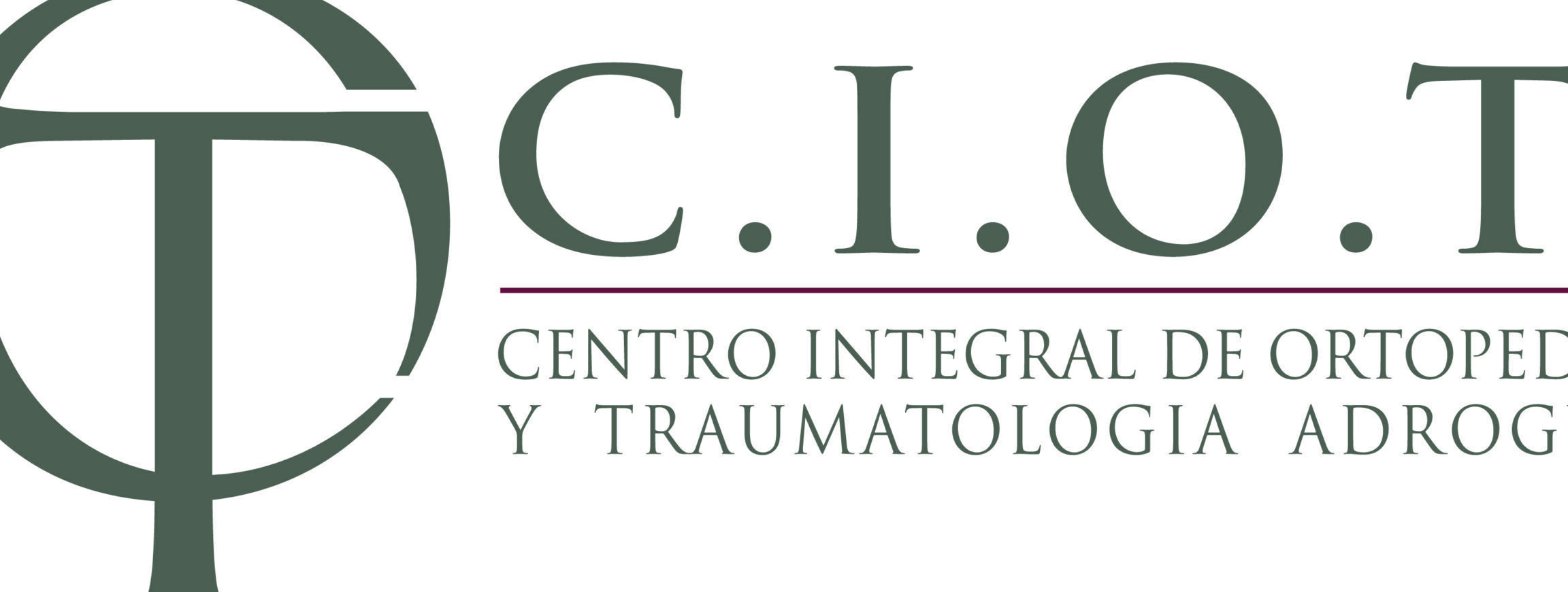 centro integral de ortopedia y traumatologia ciot