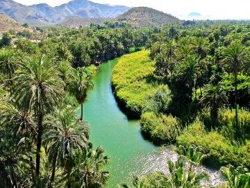 heroica mulege